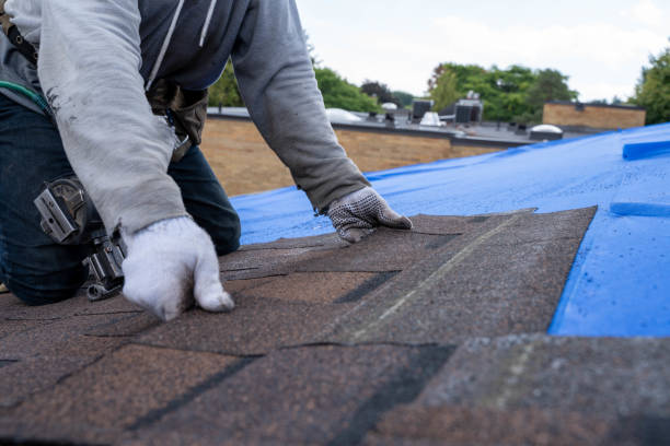 Best Roof Maintenance Services  in Jermyn, PA